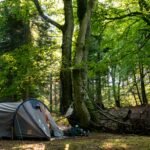 Best 3-Person Tents for Summer Car Camping (Budget, Setup & Premium)