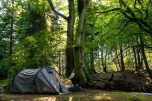 Best 3-Person Tents for Summer Car Camping (Budget, Setup & Premium)