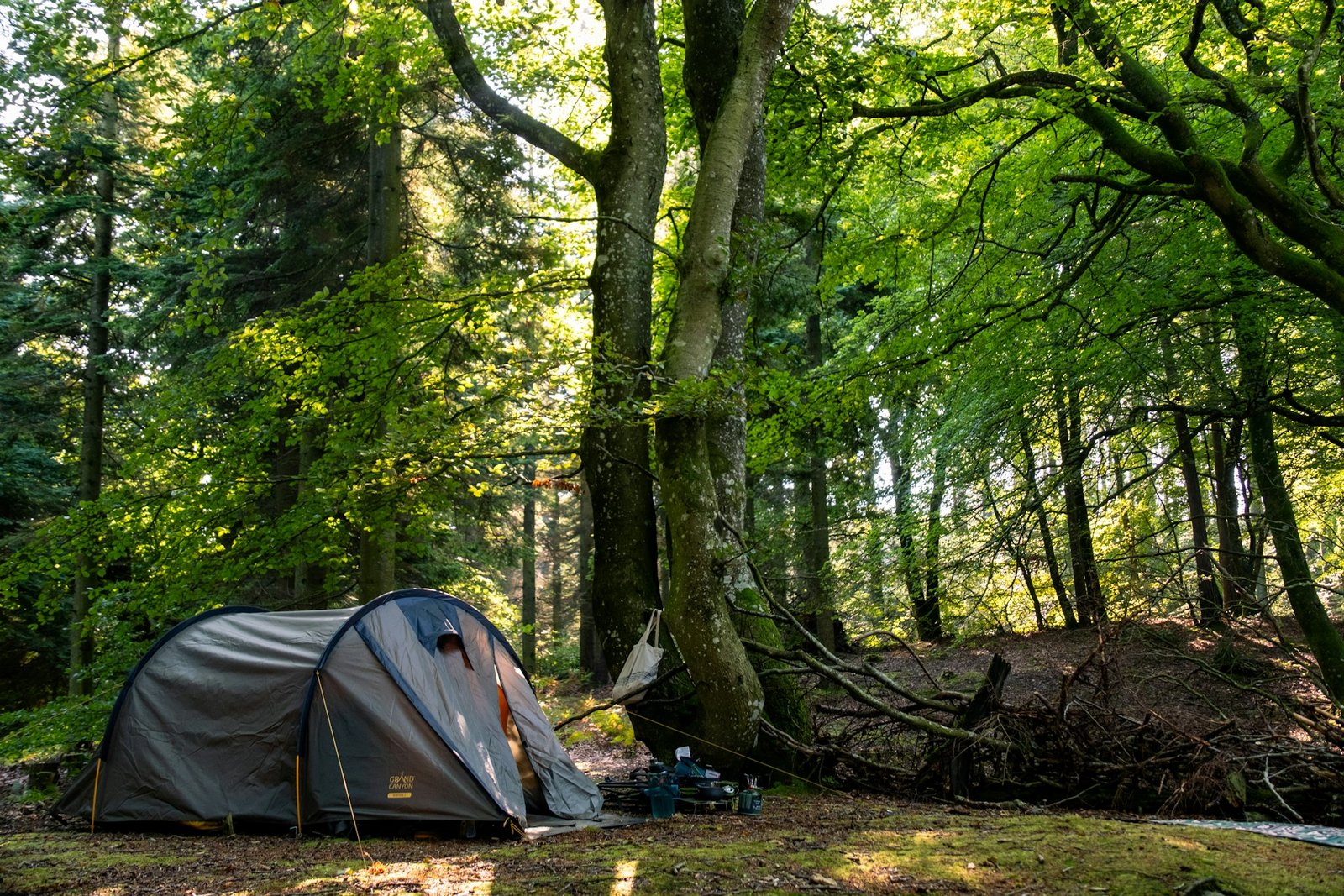 Best 3-Person Tents for Summer Car Camping (Budget, Setup & Premium)