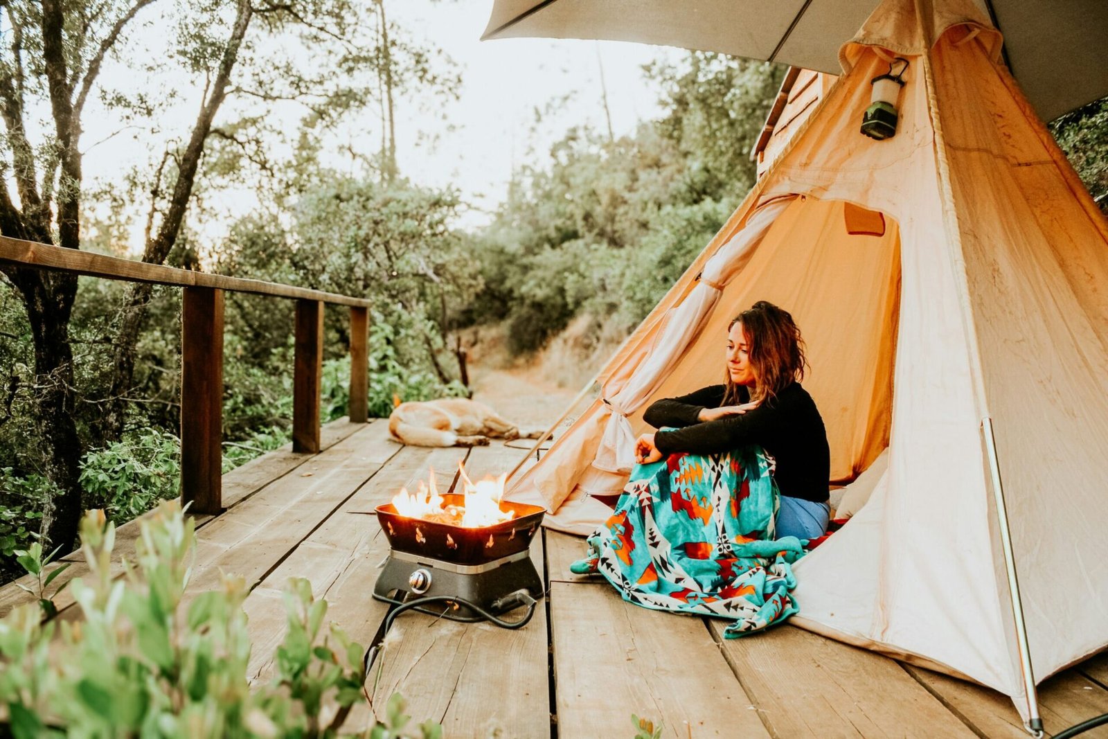 Best 2-Burner Propane Camp Stoves of 2026
